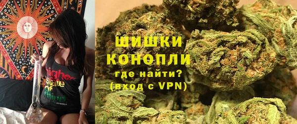 спиды Лиски