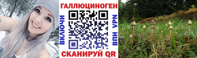 наркота  Нерчинск  Галлюциногенные грибы мухоморы 